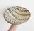 19th Century Slipware Bowl With Hand-Painted Vine Motif For Sale - Image 11 of 13