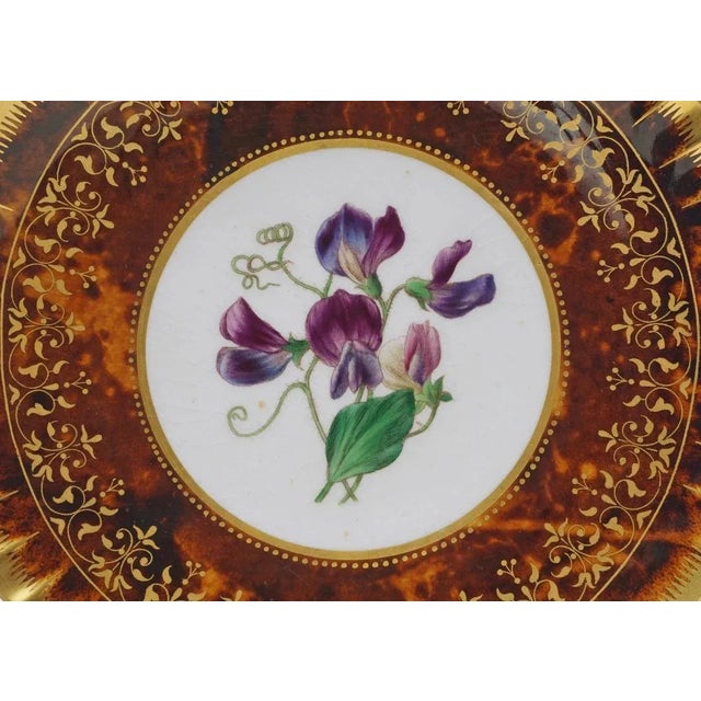 Ceramic Antique Minton Cabinet Plates Tortoiseshell Glaze Botanical Dishes - A Pair For Sale - Image 7 of 10