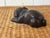 Mid-Century Modern MCM Carved Ebony Pug For Sale - Image 3 of 12