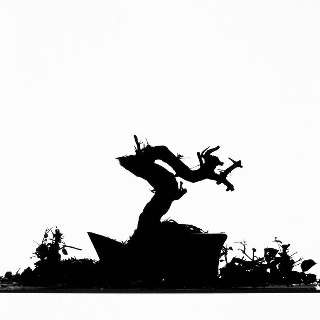 Filipe Condado, Untitled, Photography For Sale - Image 6 of 7