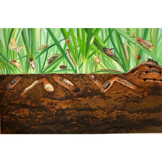 A rare original marketing illustration.... c.1981 Insects & Bugs Original watercolor and gouache on illustration board by...