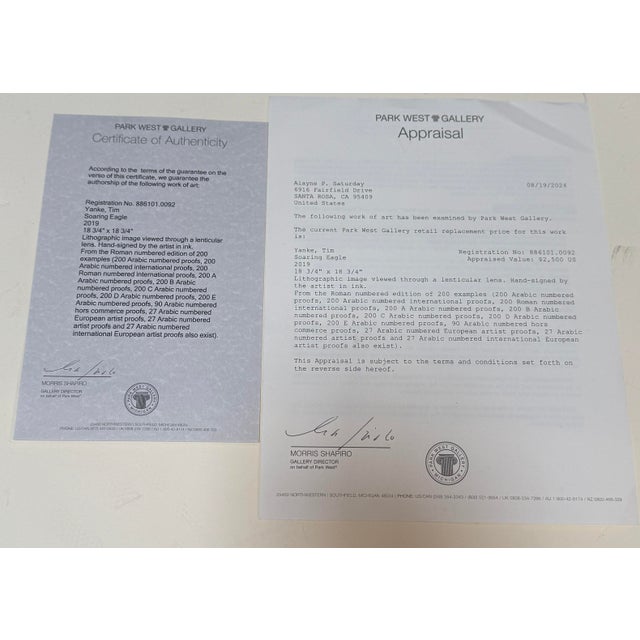 Circa 2019 Tim Yanke "Soaring Eagle" For Sale - Image 12 of 12