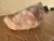 Large Raw Rose-Quartz Crystal Stone For Sale - Image 4 of 12
