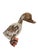 Very charming vintage folk art duck sculpture for decor or a child's room.