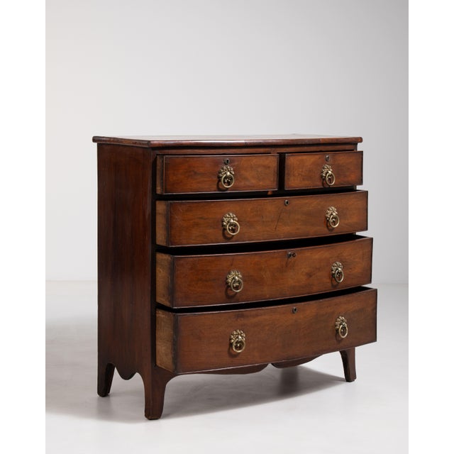Regency Bow-Front Mahogany Chest of Drawers, Antique, United Kingdom, 19th Century For Sale - Image 9 of 15