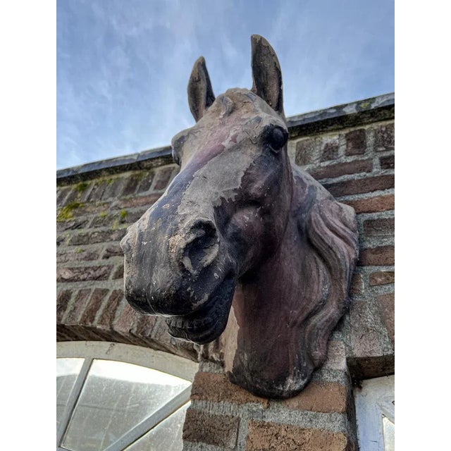 Life-Size Horse Head Sculpture, 1940s For Sale - Image 6 of 8