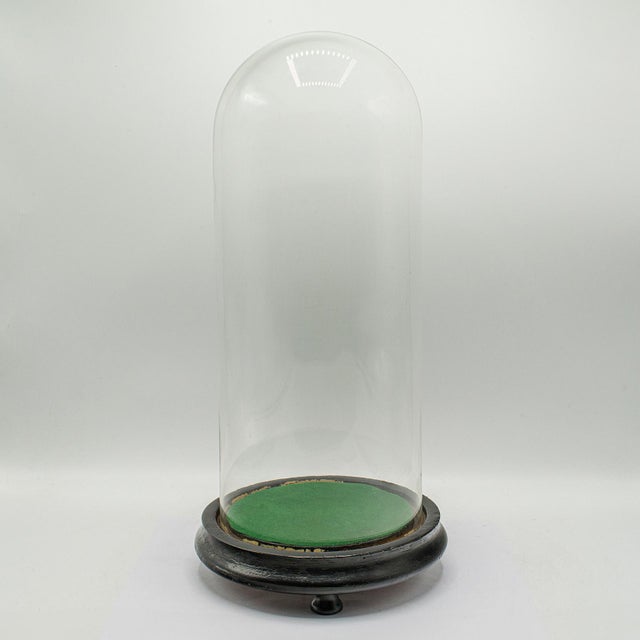 1910's Antique Collector's Dome For Sale - Image 9 of 9