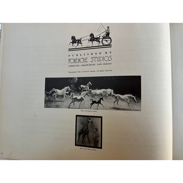 American 1952 Portraitures of Horses, a Few People, Some Dogs Morris, George Ford Fordacre Studios, NJ Book For Sale - Image 3 of 10
