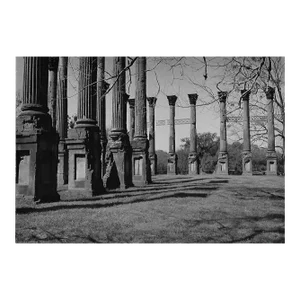 1960s Windsor Ruins Mississippi Photograph by Don Ware