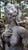 20th Century Italian Nude The Four Seasons Sculptures, Set of 4 For Sale - Image 5 of 16