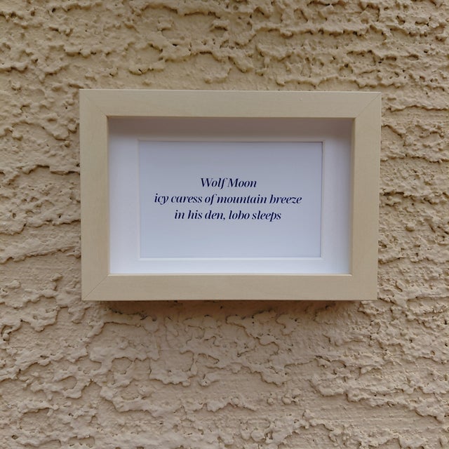 2020s Contemporary Fiber Art Mojave Desert Landscape Set With Haiku by Paula Darnell For Sale - Image 5 of 6