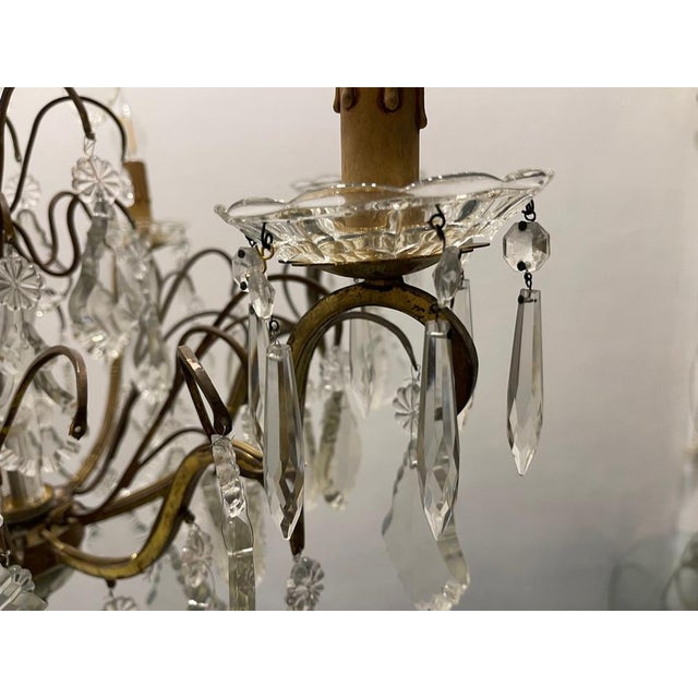 Vintage Crystal Chandelier, 1950s For Sale - Image 8 of 14