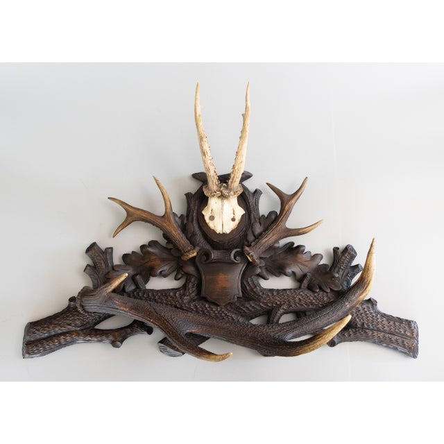 19th Century Black Forest Antlers Trophy Mount Mantel Wall Plaque For Sale - Image 11 of 11