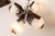 Murano 4-Light Chandelier in Teak from Mazzega, 1960 For Sale - Image 11 of 18