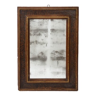 Italian 19th Century Gilded Tortoise-Effect Carved Wood Decorative Mirror For Sale