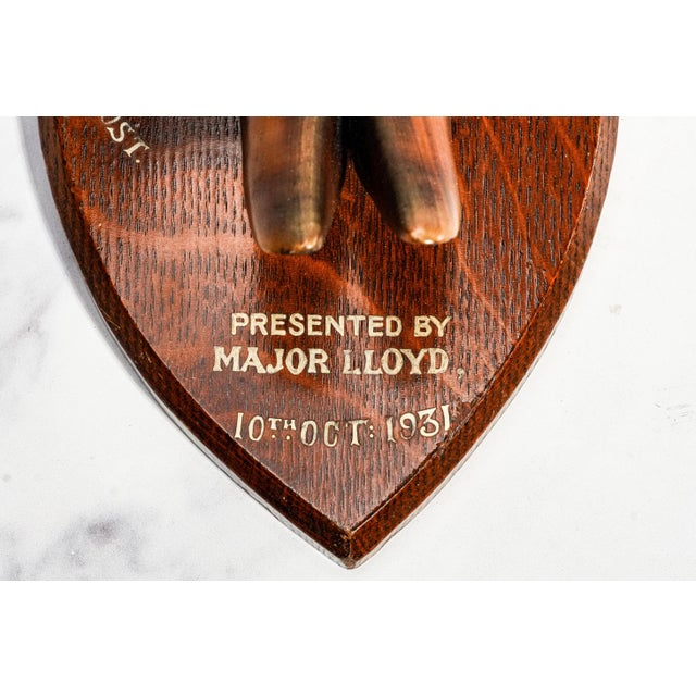 Wood Nice Deer Hoof Wood Shield Mounted Antique English Taxidermy Hunting Trophy For Sale - Image 7 of 14