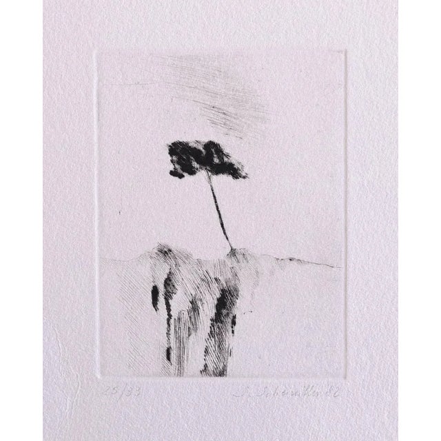 Landscape is a beautiful original drawing in pencil on paper realized by S.Scheiwiller. Good conditions. dimensions: 20 x...