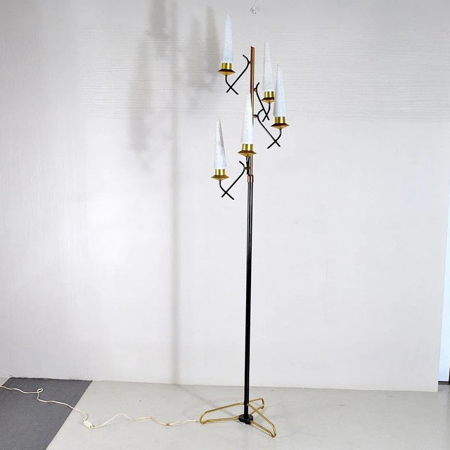 Black Opaline Glass & Brass Floor Lamp by Stilnovo, 1950s For Sale - Image 8 of 13