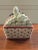 Vintage Lidded Ceramic Asparagus Serving Piece For Sale - Image 4 of 11