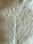 Set of 4 White Ceramic Cabbage Leaf Plates For Sale In Austin - Image 6 of 10