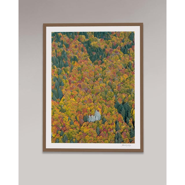 Edition Aerial Views Bernhard Lang Image: "Bavarian_Forest_02" Size A: 44,3 x 59,0 inch / 112,5 x 150 cm No 3 of 8 + 2 AP,...
