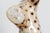 Hand‑painted Ceramic Leopard Sculpture from Giovanni Rozan, Italy, 1950s For Sale - Image 9 of 11