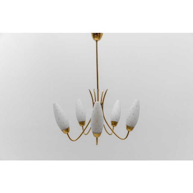 Vintage Italian Brass Spider Lamp with Dotted Glass Shades, 1950s For Sale - Image 14 of 14