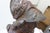Sculpture Materials Antique "Menelaus" Grand Tour Bronze Sculpture For Sale - Image 7 of 12