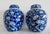 Chinoiserie Vintage Chinese Export Blue & White Chinoiserie Ginger Jars/Urns Emblazoned With Punis Flower Design Motif For Sale - Image 3 of 13
