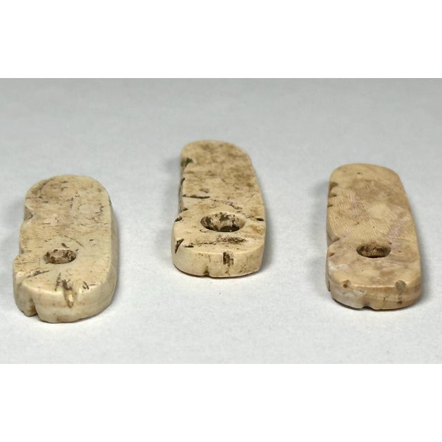 Pre-Columbian Taino Shell Amulets: Zoomorphic Zemi Beads For Sale - Image 4 of 9