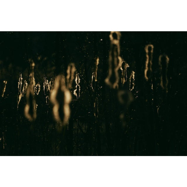 Born in Porqueres, a small village in Catalonia, Llorens has lived by the lake Banyoles his entire life. Inspired by this...