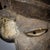 Early 20th Century Bearded Pende Mask with Woven Hood For Sale In Denver - Image 6 of 11