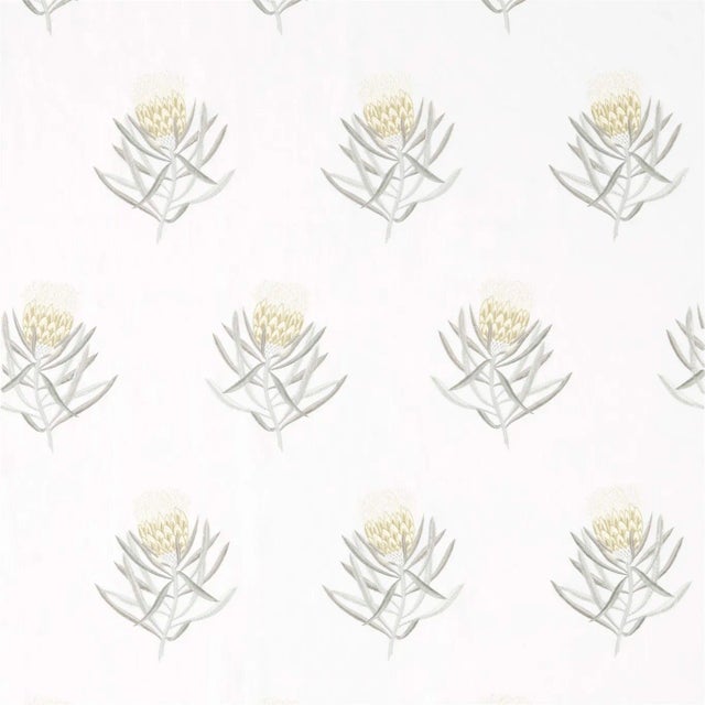 Sanderson Protea Flower Fabric in Daffodil/Natural - a Sample For Sale