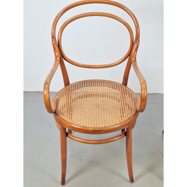 Antique Bentwood Webbing Chairs by Jacob & Josef Kohn for Wiener Werkstätte, Austria, 1890s, Set of 2 For Sale - Image 6 of 13