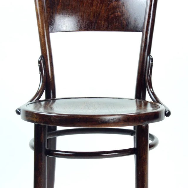 Vintage Bentwood Design Chair from Tatra, Czechoslovakia, 1950s For Sale - Image 13 of 14