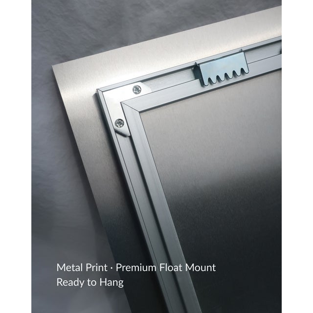 Left or Right by Mark Forbes — Ready-to-Hang Metal Photography Print For Sale - Image 4 of 4