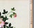 Japanese Woodblock Botanical Print of Wild Roses by Tanigami Kōnon For Sale - Image 4 of 7