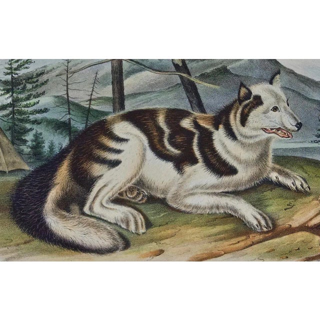 This is an original 19th century John James Audubon hand-colored lithograph entitled "Hare Indian Dog", No. 27, Plate...