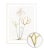 Celerie Kemble Curated Australian Botanical IX (40x60) in White Frame For Sale - Image 4 of 4