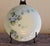Victorian Antique Curated Signed Hutschenreuther Selb Plates- Set of 7 For Sale - Image 3 of 12