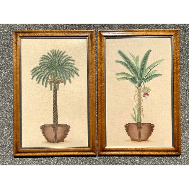 Capture the serene elegance of a tropical estate with this sophisticated pair of vintage botanical palm prints....