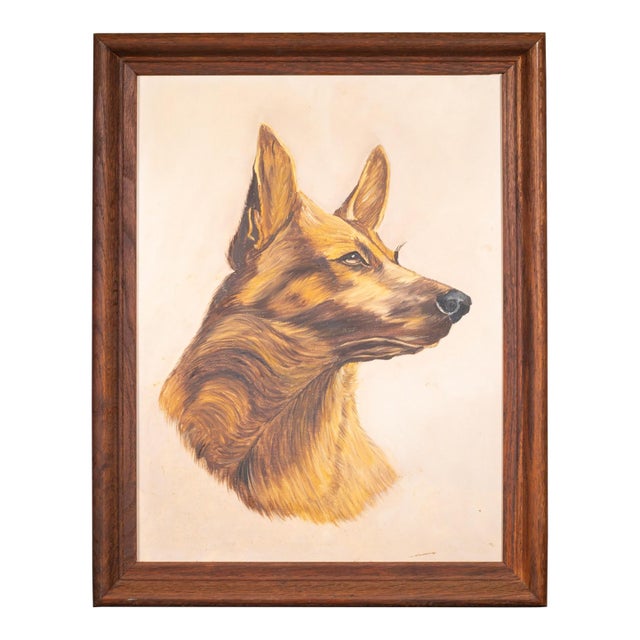 Framed German Shepard Print c.1940-1950 For Sale