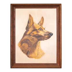Framed German Shepard Print c.1940-1950