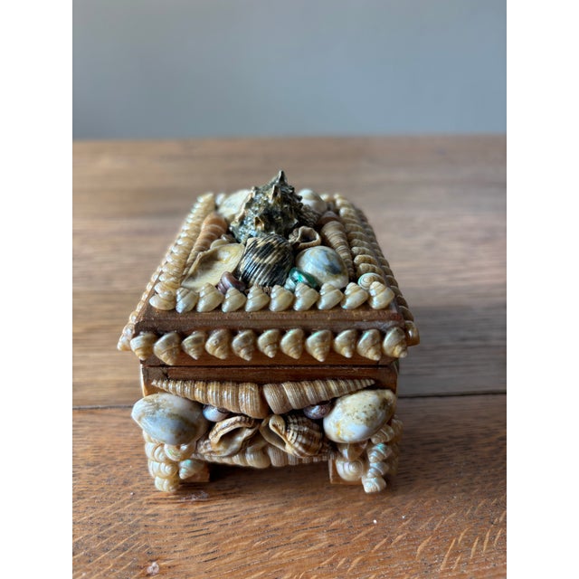 Vintage English Shell Box For Sale - Image 4 of 8