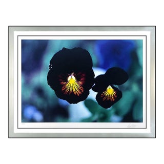 1980s Pansies, Colorado, Ernst Haas For Sale