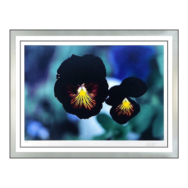 1980s Pansies, Colorado, Ernst Haas For Sale