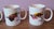 Set of 4 Winnie Staniford Designs Fly Fishing Lure Decorative Ceramic Coffee Mugs *New Old Stock* For Sale - Image 4 of 10