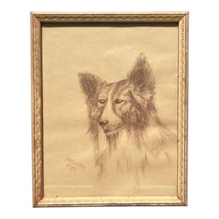 1940s Pencil Drawing of a Collie Dog on Paper and Framed in Wood Frame Signed - 1940 For Sale