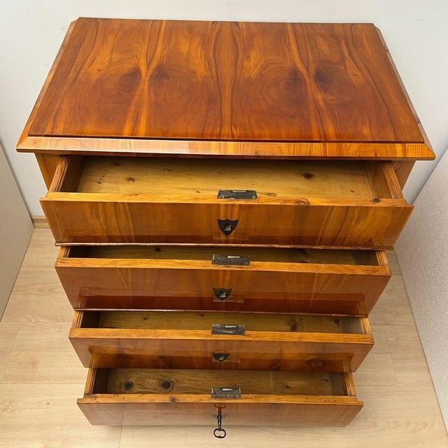 Biedermeier Ebonized Chest of Drawers in Cherry Veneer, South Germany, 1830 For Sale - Image 4 of 18