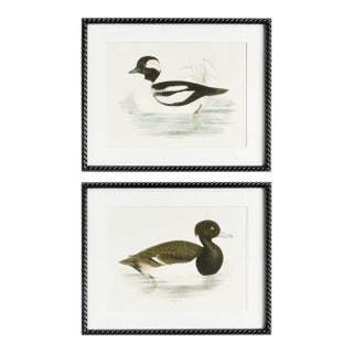Wading Duck Prints, Set Of 2 For Sale